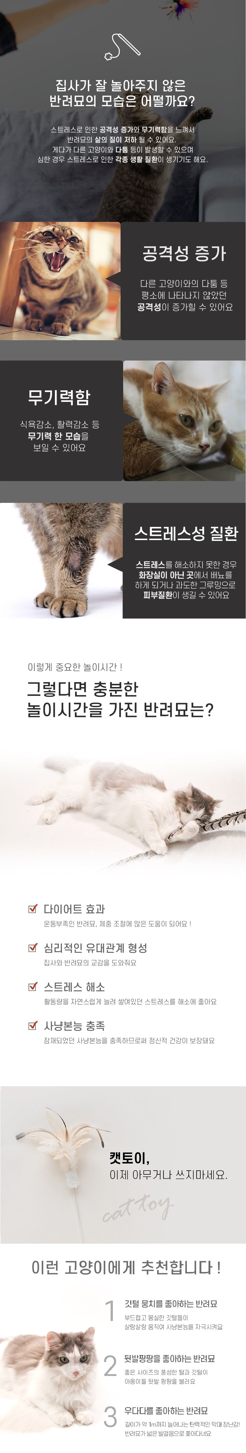 [무료배송] 쥬아펫 1m 갈대팡팡 스틱 12번째