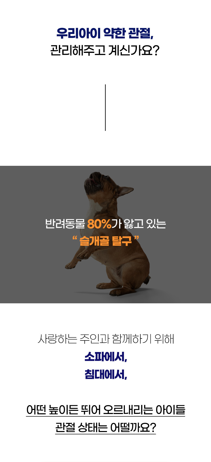 [NEW신상][무료배송] 개과천선 독 버디 펫스텝 계단 (5단/6단) 2번째