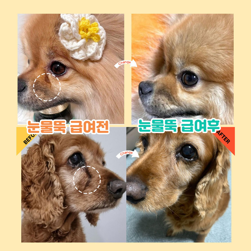 [무료배송][1+1] 댕이수랏간 침향 눈물뚝 영양제 100g 2번째