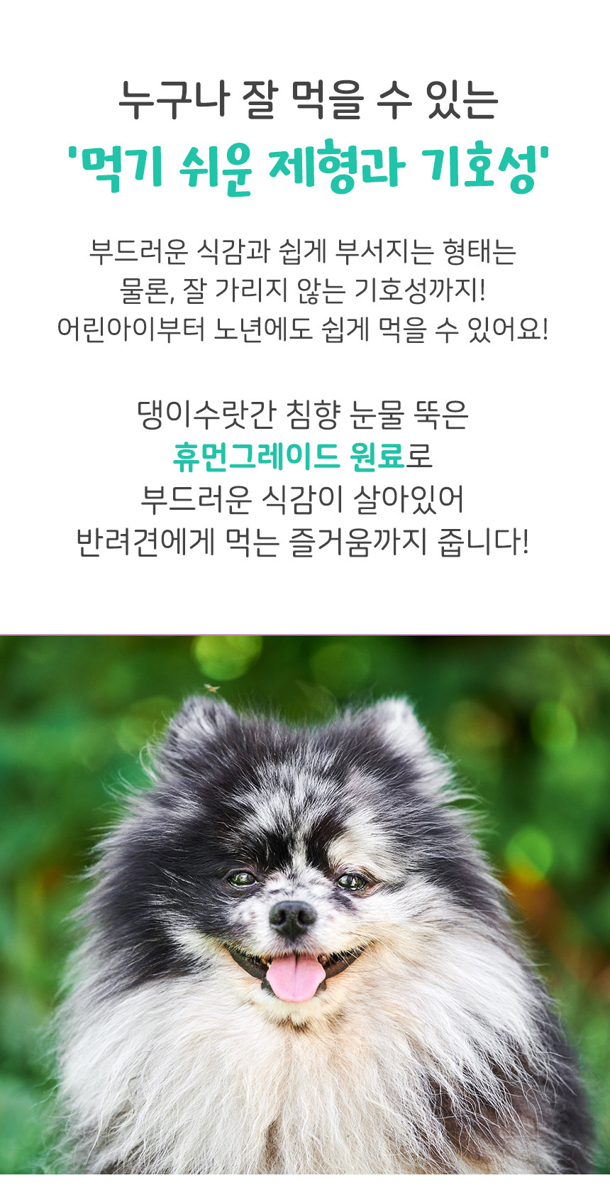 [무료배송][1+1] 댕이수랏간 침향 눈물뚝 영양제 100g 28번째