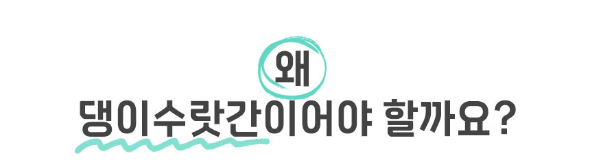 [무료배송][1+1] 댕이수랏간 침향 눈물뚝 영양제 100g 8번째