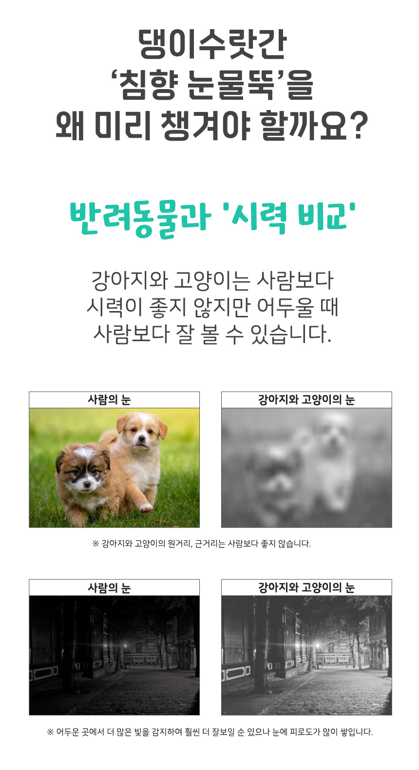 [무료배송][1+1] 댕이수랏간 침향 눈물뚝 영양제 100g 14번째