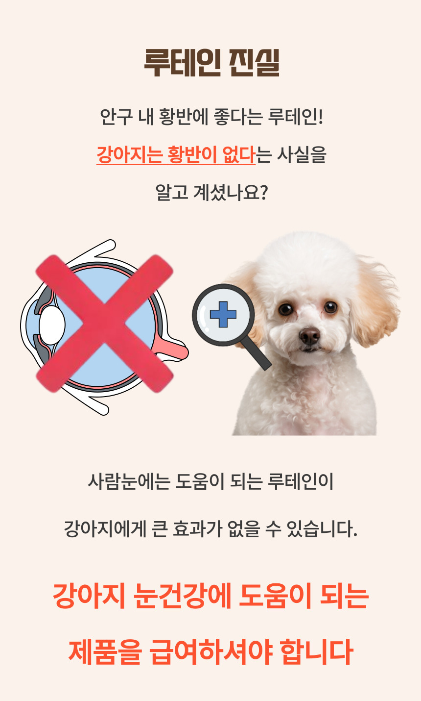 [NEW신상][무료배송] 댕그래 클린아이즈 100g 8번째