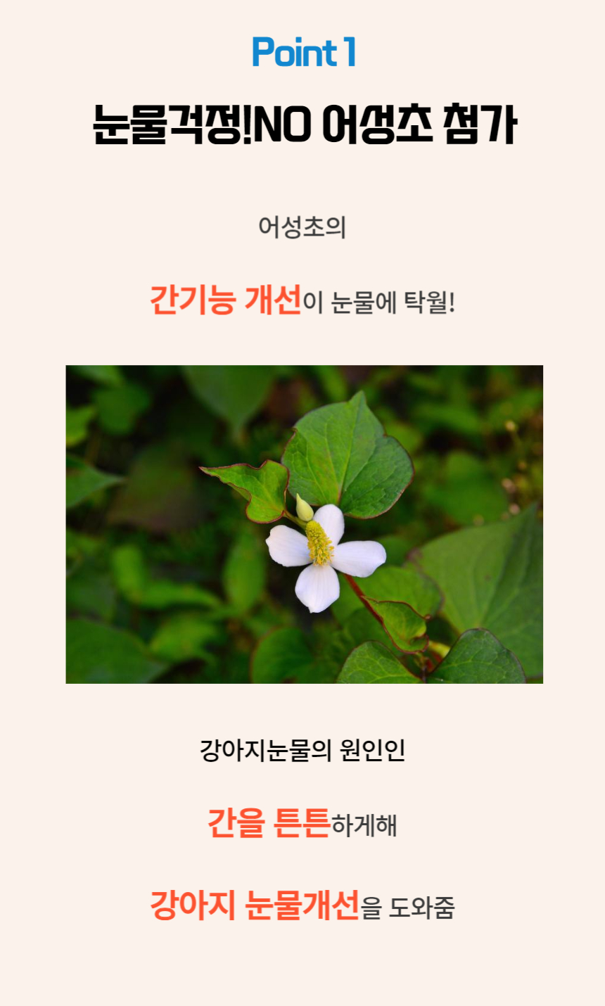 [NEW신상][무료배송] 댕그래 클린아이즈 100g 9번째