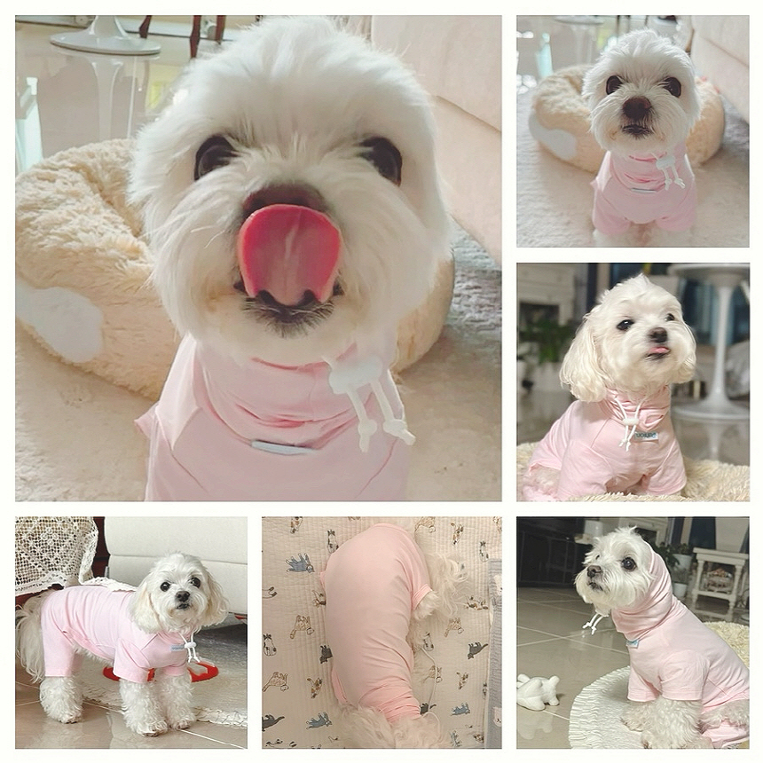 [무료배송] 파니온 바딩스 강아지옷 XS-2XL 1번째