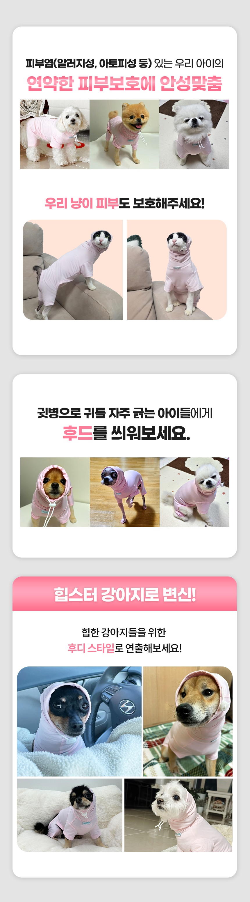 [무료배송] 파니온 바딩스 강아지옷 XS-2XL 4번째