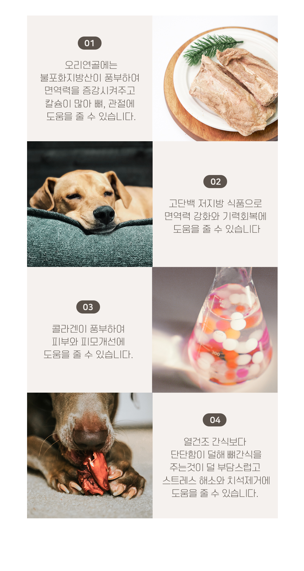 [무료배송] 온날 독 솔찬트릿 오리연골 70g 9번째