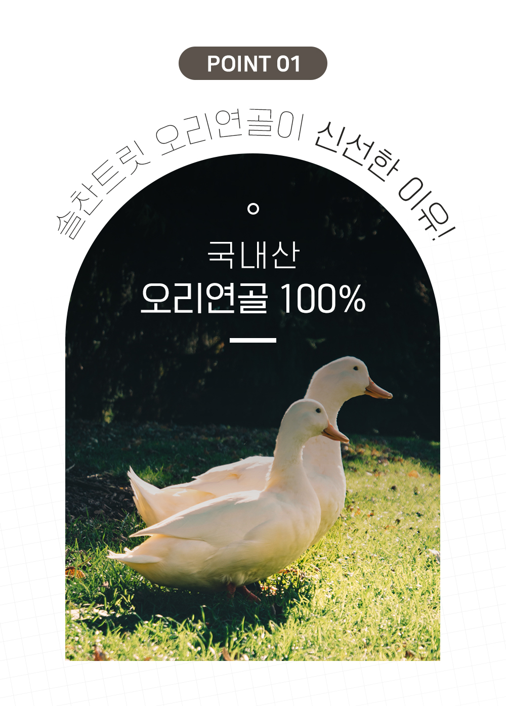 [무료배송] 온날 독 솔찬트릿 오리연골 70g 3번째