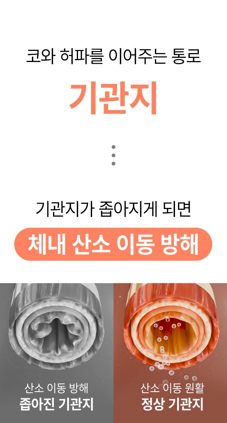 [심쿵펫페어]펫생각 독 데일리케얼 슈퍼리얼 브레스 120g  8번째