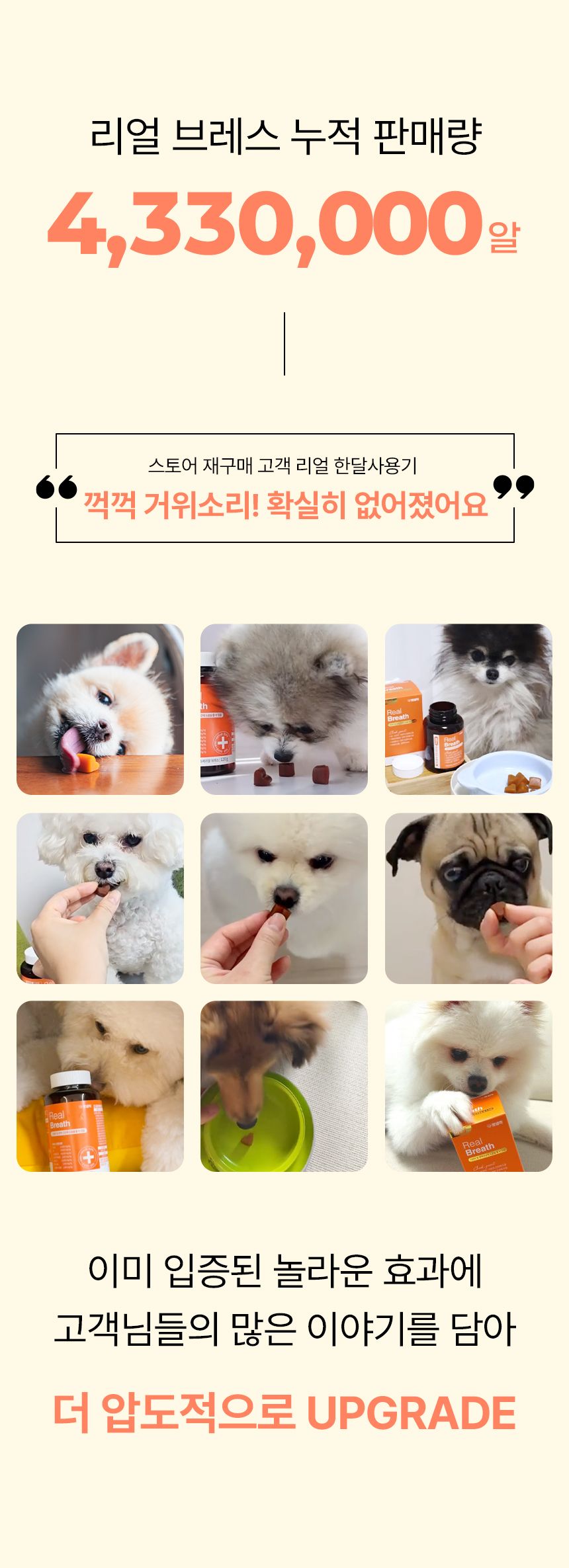 [심쿵펫페어]펫생각 독 데일리케얼 슈퍼리얼 브레스 120g  4번째