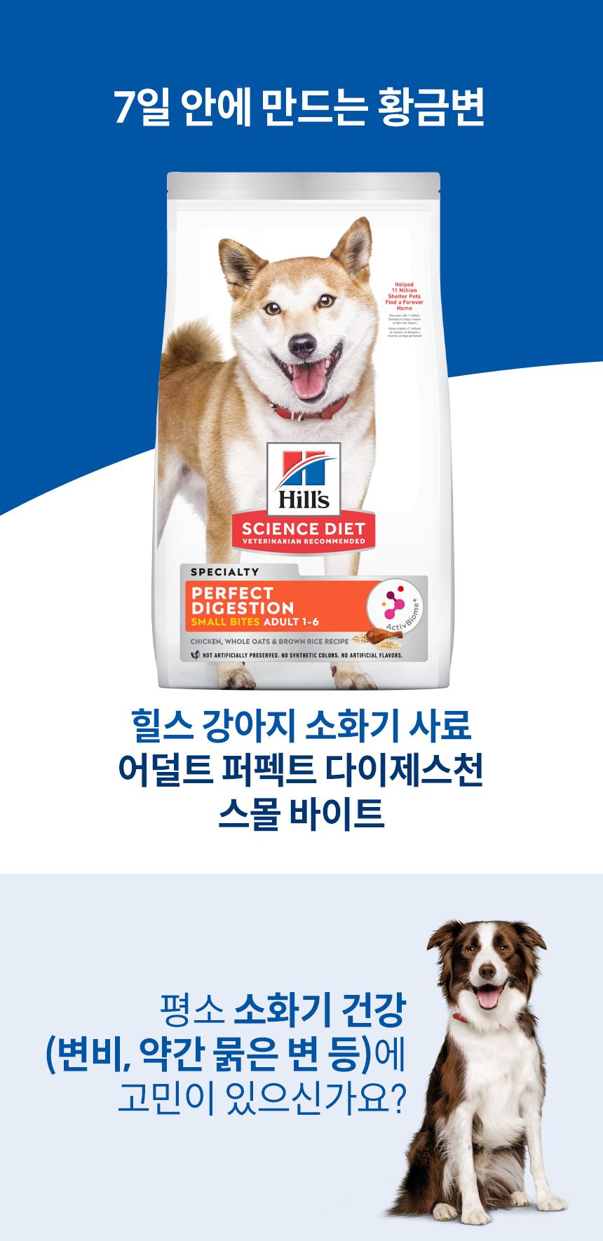 힐스 독 어덜트 1+ 퍼펙트 다이제스쳔 스몰브리드 치킨 1.6kg 1번째