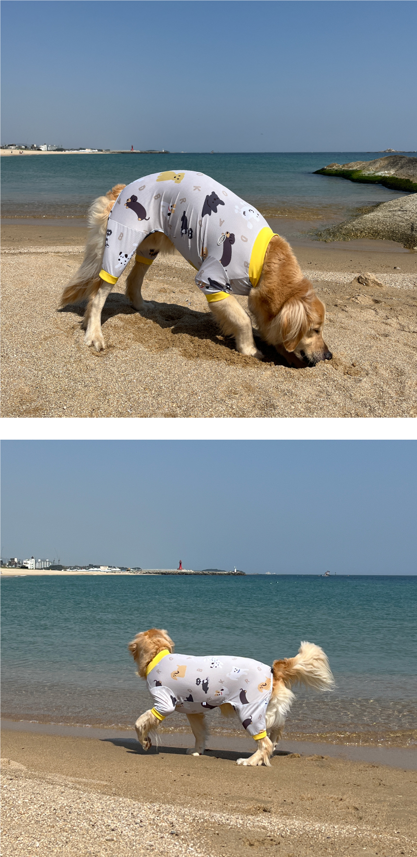 [무료배송] 바크독 해충방지 안티버그 쿨 올인원 3color M-6XL 16번째