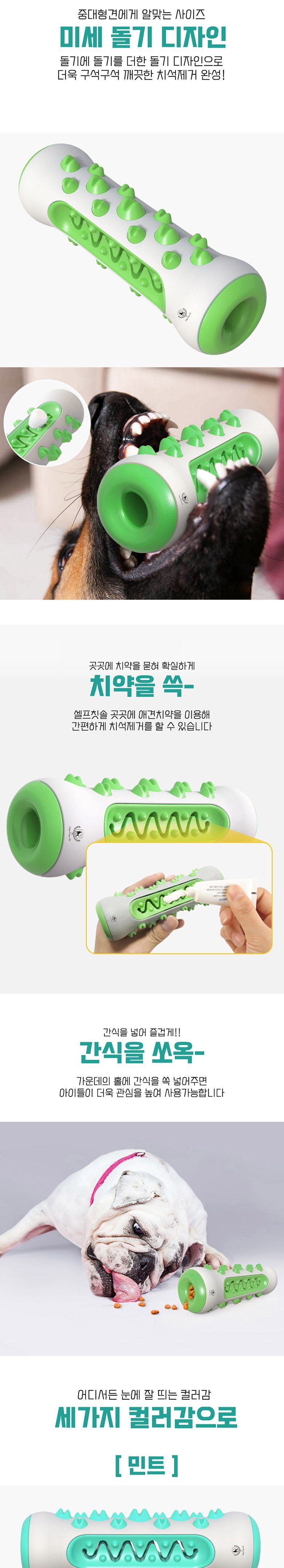 [무료배송] 딩동펫 반려동물 치석제거 도돌이 하드 셀프칫솔 민트/옐로우/그린 3번째