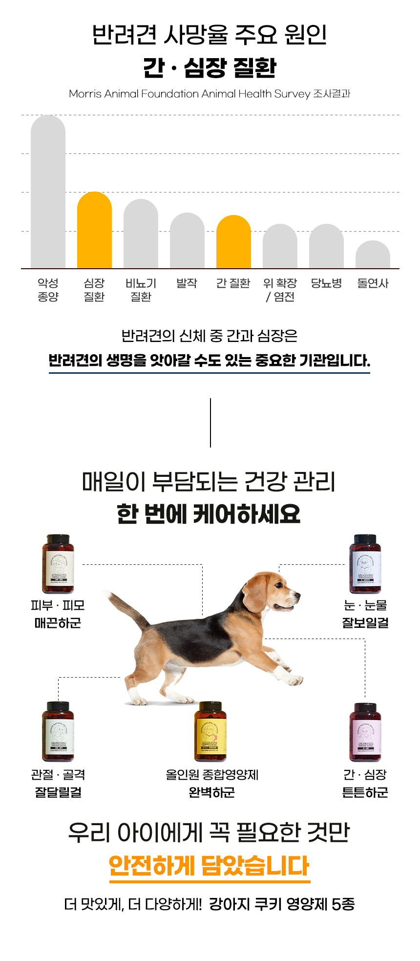 [무료배송] 애니먼 독 튼튼하군 간&심장 영양제 250g 3번째