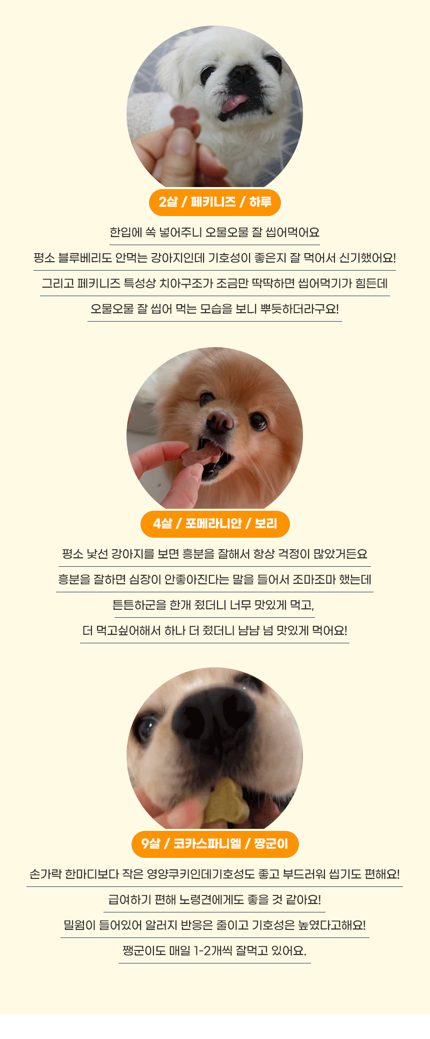 [무료배송] 애니먼 독 튼튼하군 간&심장 영양제 250g 2번째