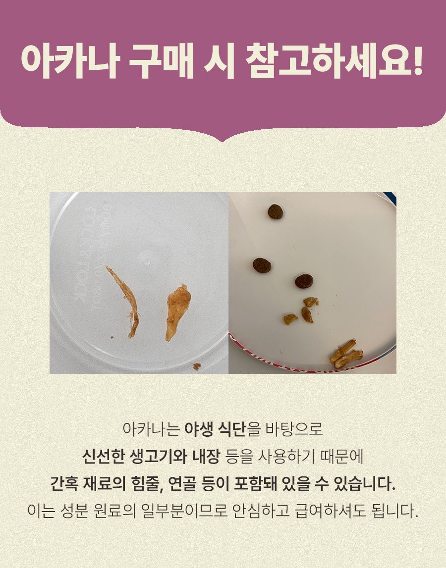 아카나 캣 퍼스트 피스트 키튼 1.8kg 11번째
