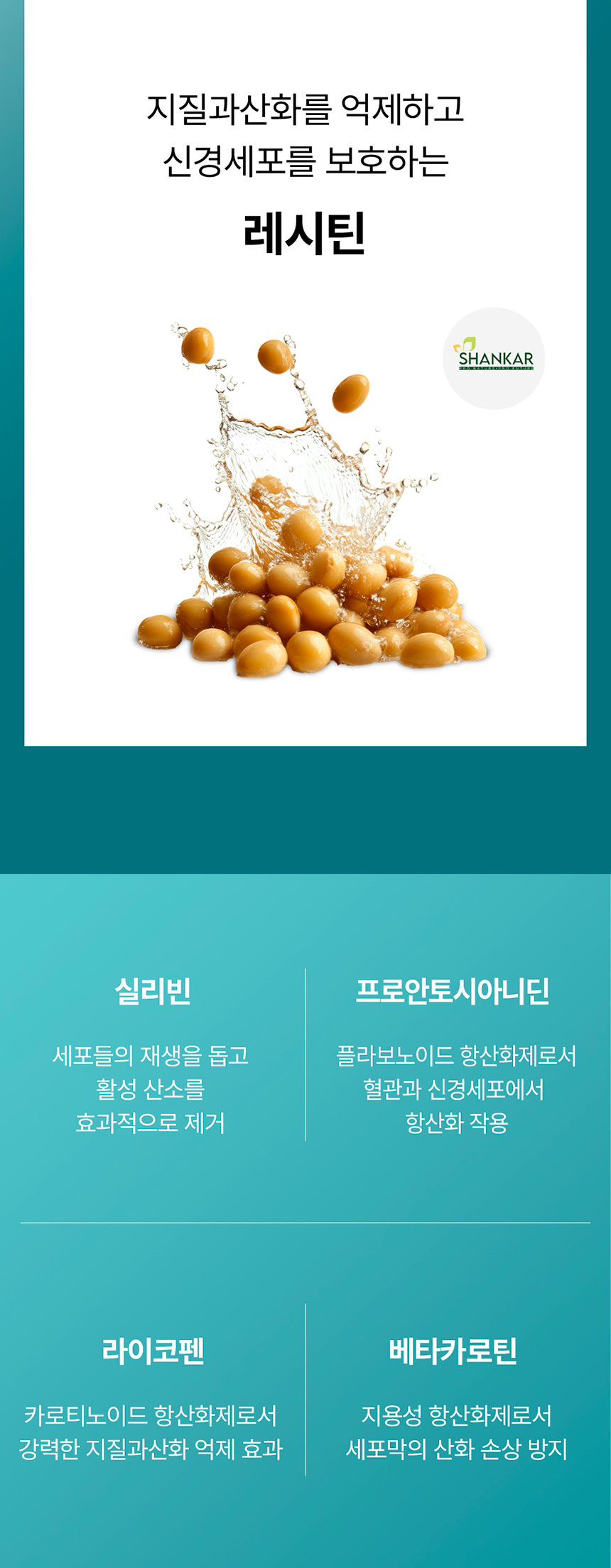 [NEW신상][무료배송] 라이펫 진정성 MP MCT 포스파티딜세린 항산화 영양제 2gX30포 9번째