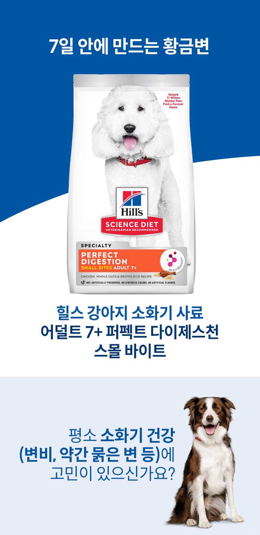 [심쿵펫페어][추가증정] 힐스 독 어덜트 7+ 퍼펙트 다이제스쳔 스몰브리드 치킨 1.6kg  +  어덜트7+ 헬씨 퀴진 치킨 스튜 354g 증정 2번째