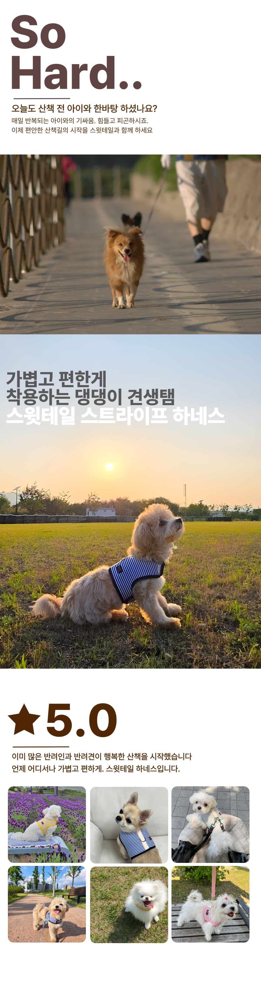 [NEW신상][무료배송] 스윗테일 독 핸드메이드 스트라이프 하네스 L 2번째