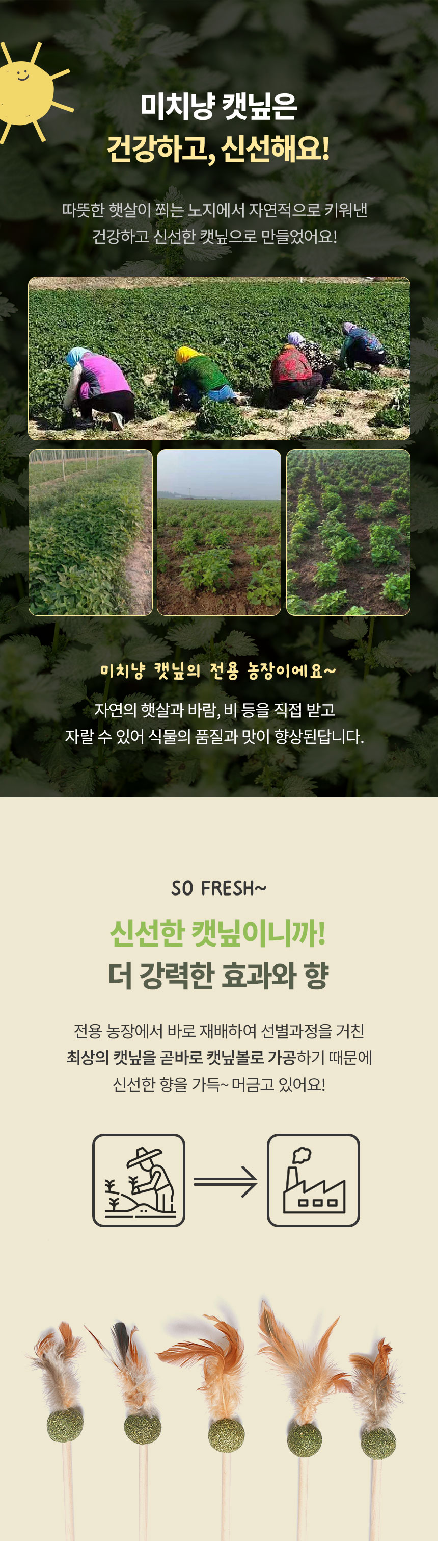[무료배송] [3개] 크레용펫 미치냥 깃털팡팡 캣닢 막대 장난감 4번째