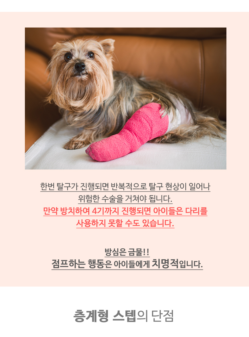 [무료배송] 초코펫하우스 논슬립 스텝 3.0 그레이/아이보리/핑크 10번째