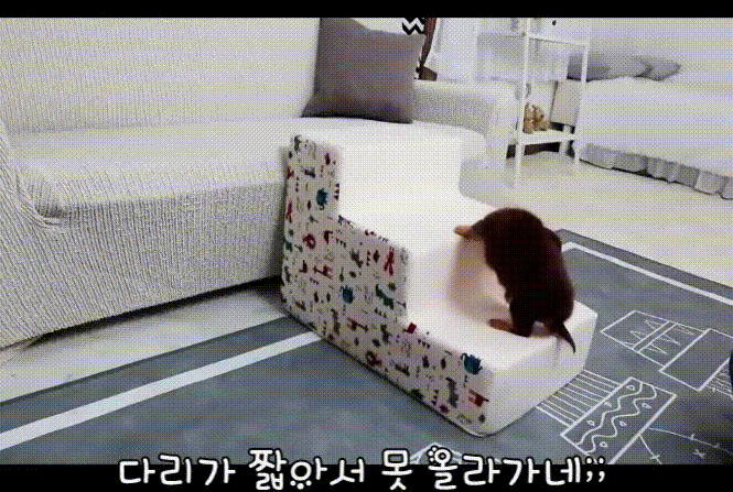 [무료배송] 초코펫하우스 논슬립 스텝 3.0 그레이/아이보리/핑크 11번째