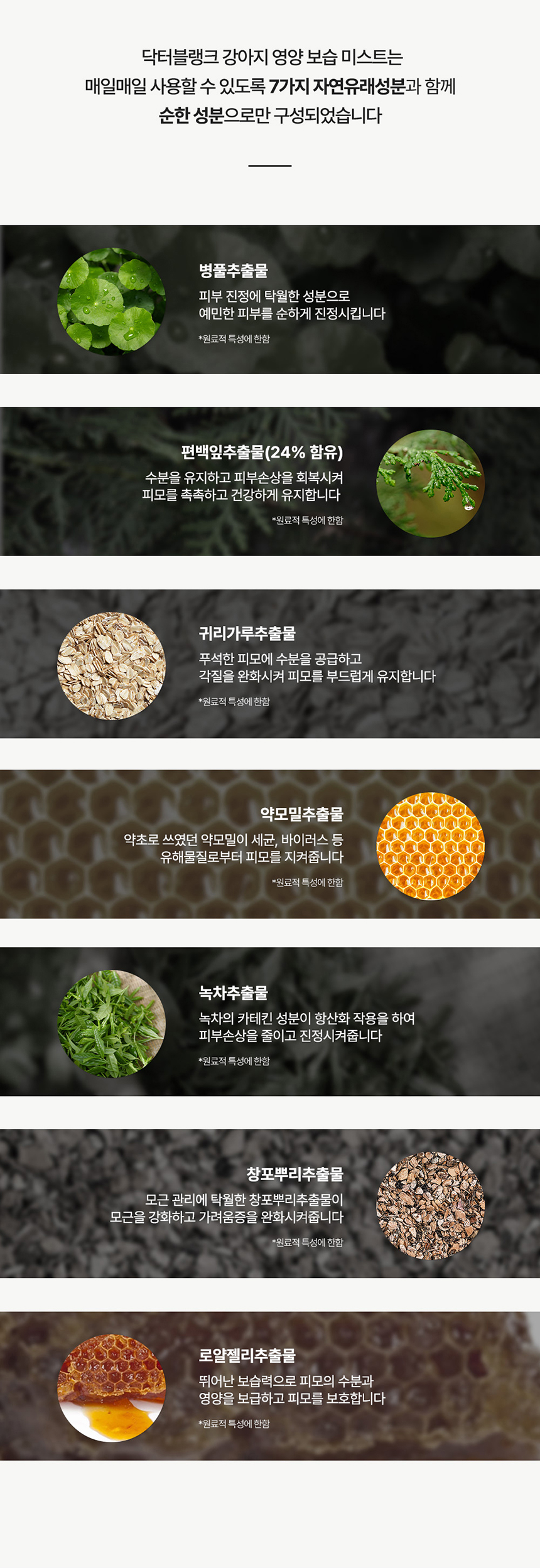 [무료배송] 닥터블랭크 독 저자극 영양보습 미스트 블랙베리향 150ml 6번째