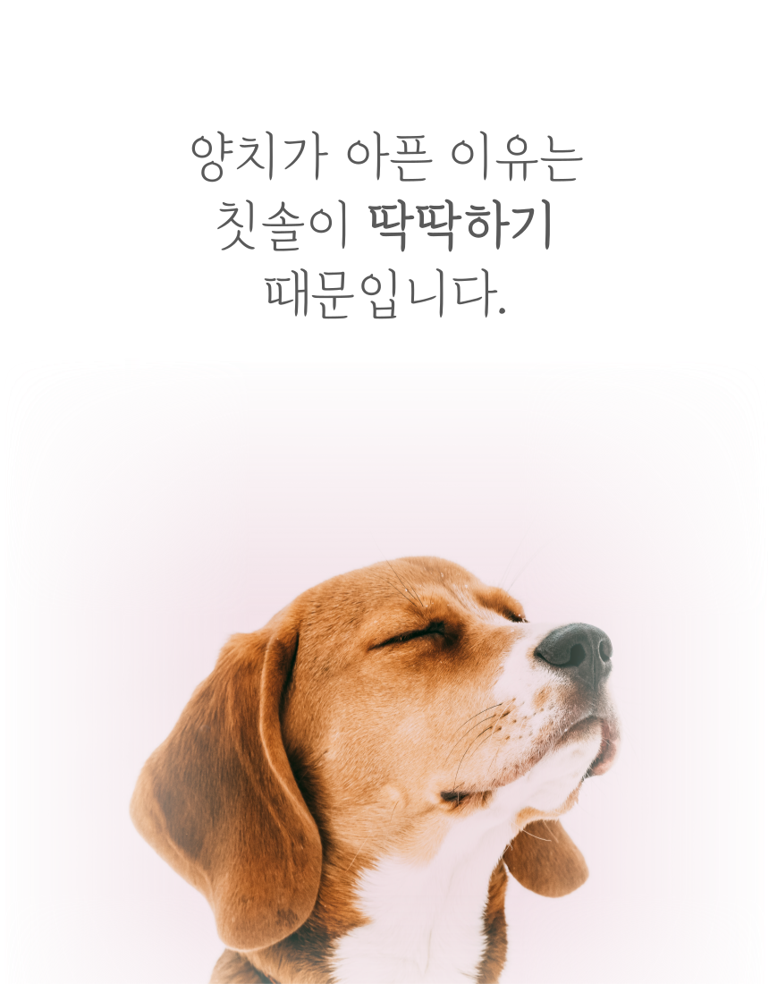 [무료배송] 알뜰펫 미니 골무칫솔 5번째