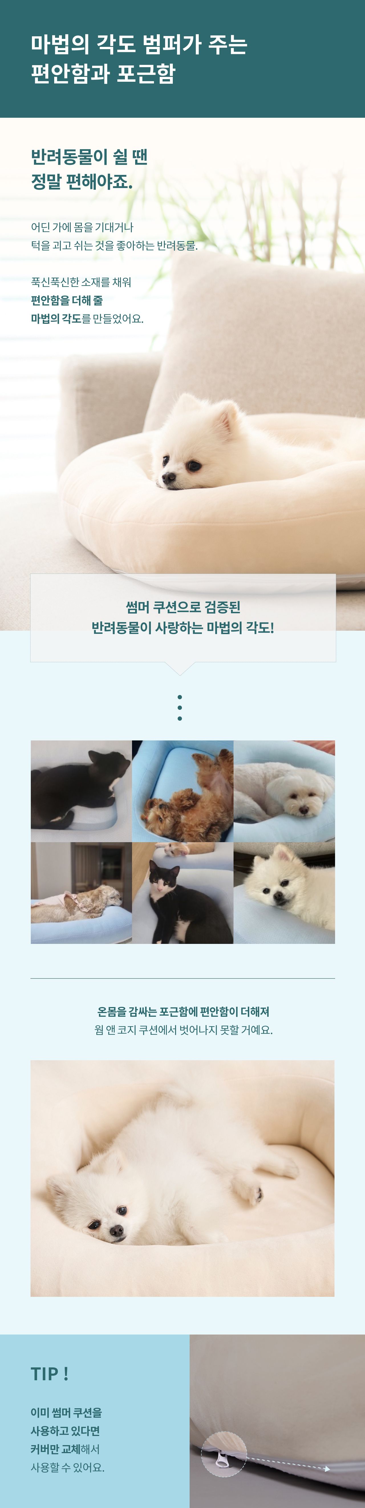 [무료배송] 두잇 웜앤코지 쿠션 5번째