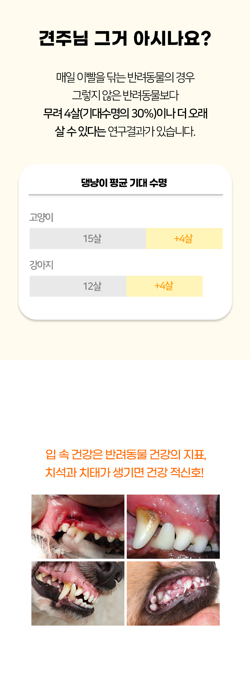 [NEW신상][무료배송] [3개] 개과천선 파스텔 극세사 칫솔 2번째