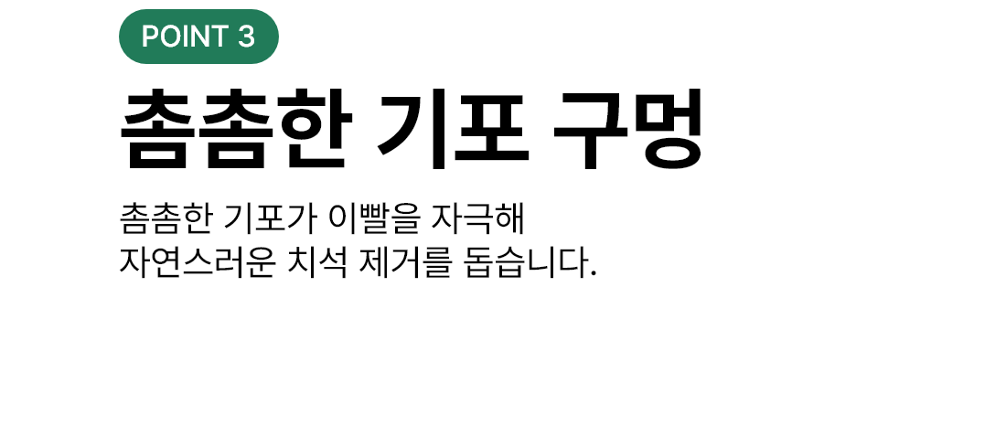 [체험팩] 에스클래스 눈앤 덴탈껌 1p 7번째