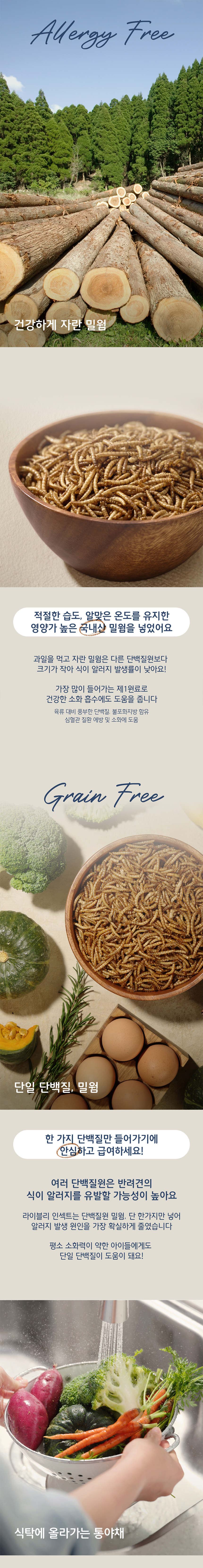 [NEW신상][무료배송] 키츠 독 라이블리 테이스티 인섹트 보울 트라이얼 팩 250g 2번째