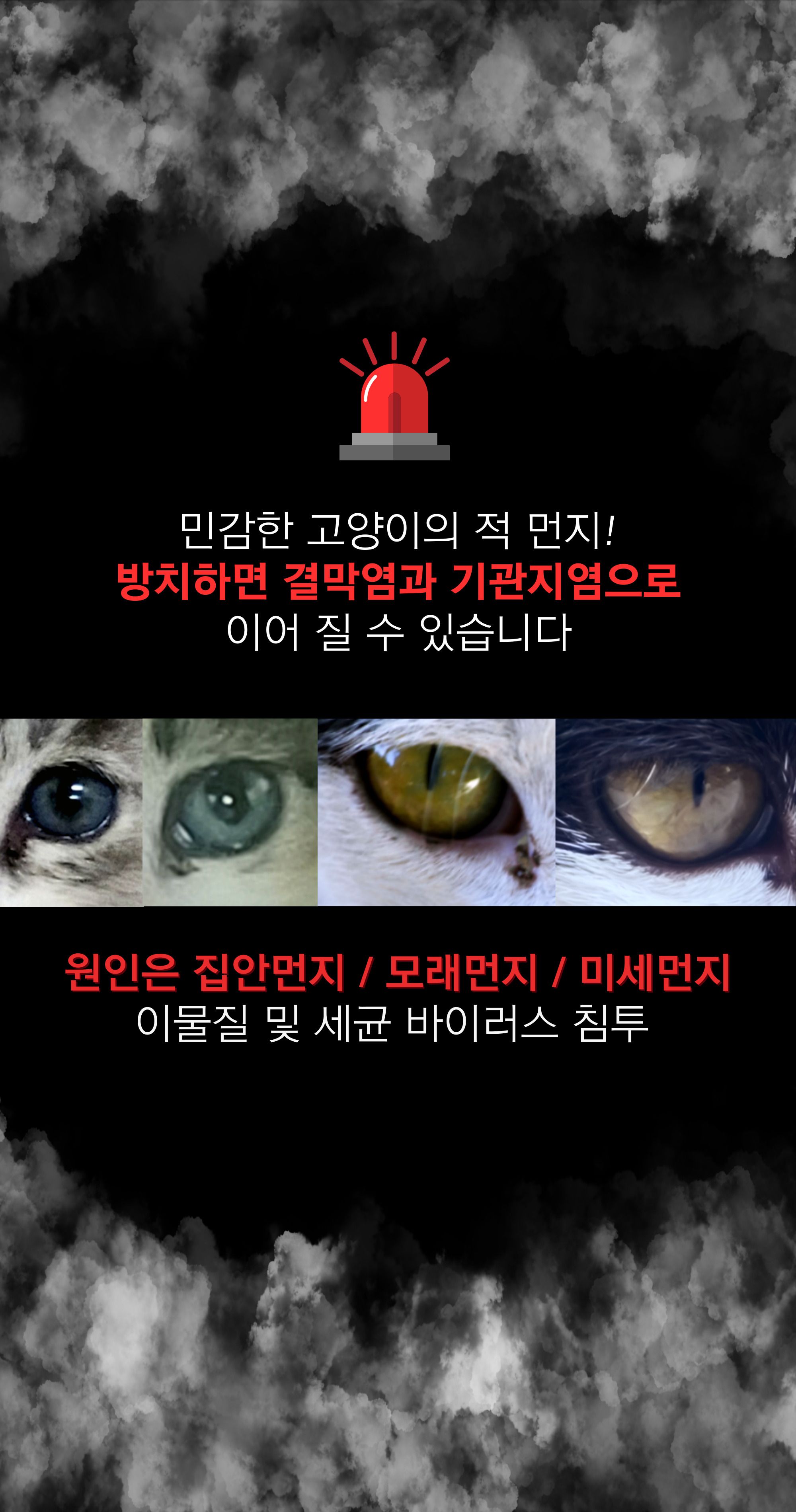 모찌네 모래 프리미엄 벤토나이트 캣픽샌드 6.3kg 2번째
