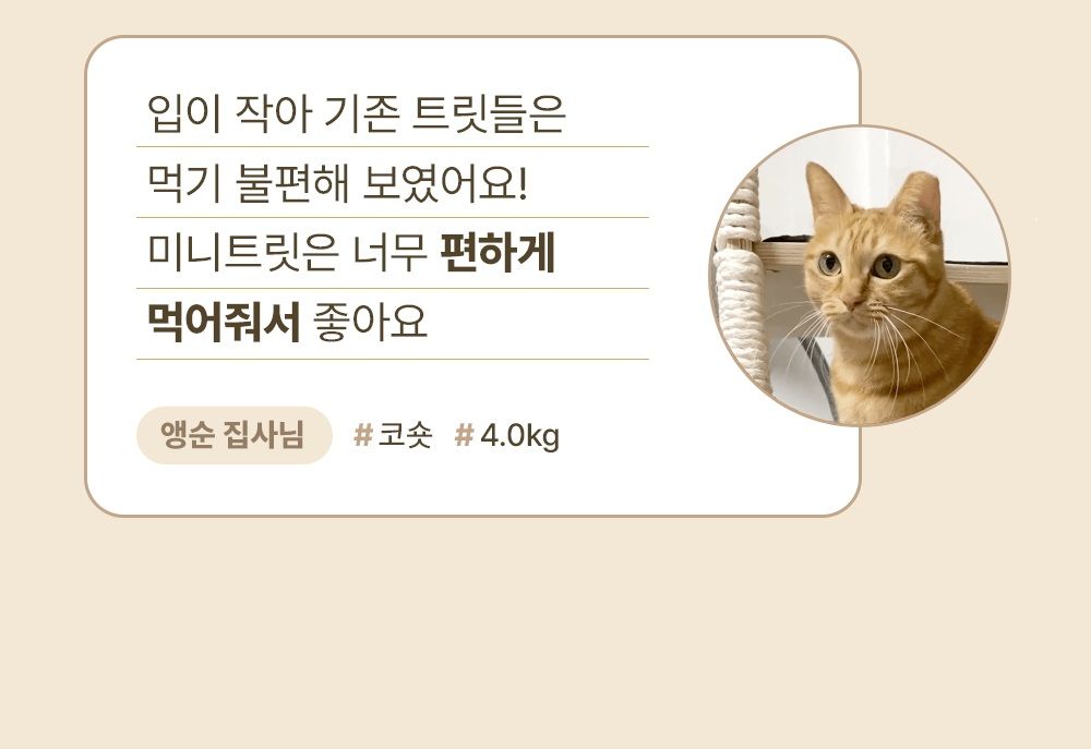 조공 미니트릿 알래스카 연어 75g 8번째
