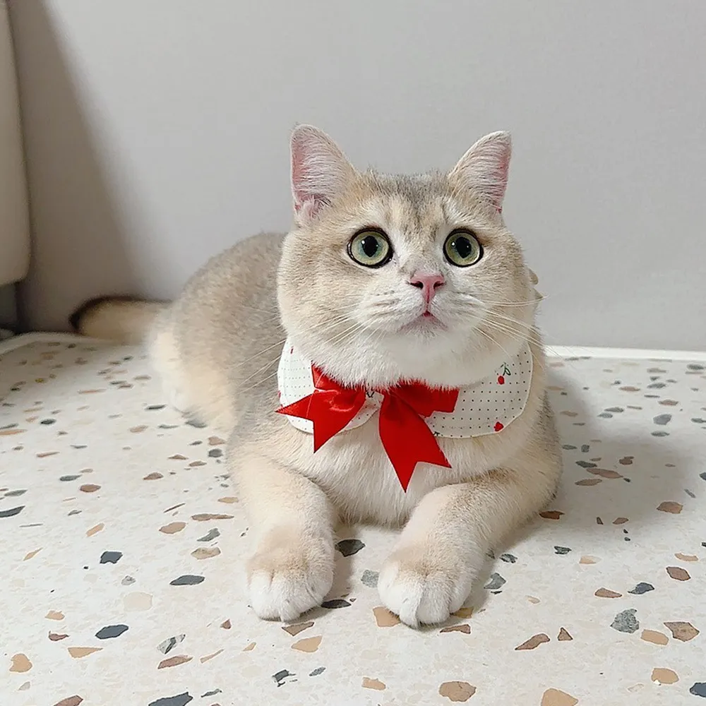 [무료배송] 개달당 앵두 리본 꽃잎 턱받이