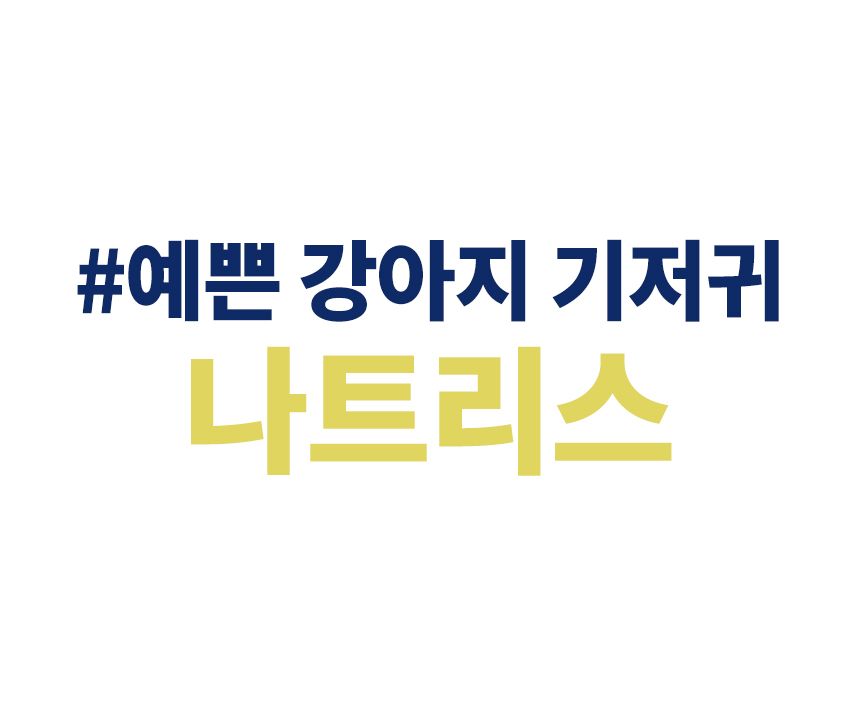 나트리스 암컷 초미니/초소형/소형/중형 기저귀 50매 4번째