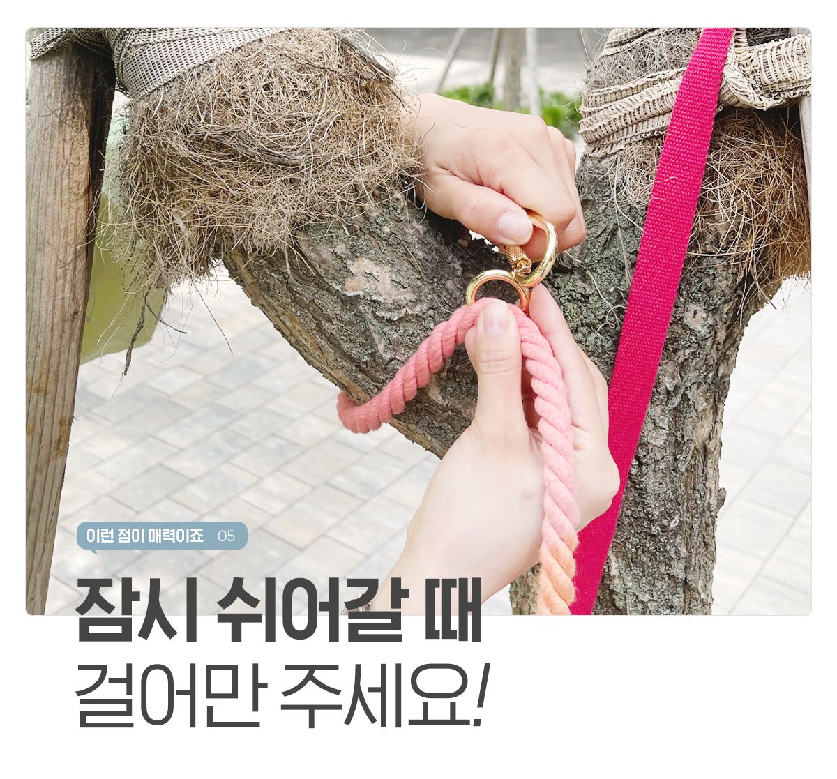 [무료배송] [추가증정] 개님의상점 핸즈프리 레인보우 6in1 순면 로프 리드줄 + [랜덤발송] 친환경 생분해 풉백 무료증정 15번째