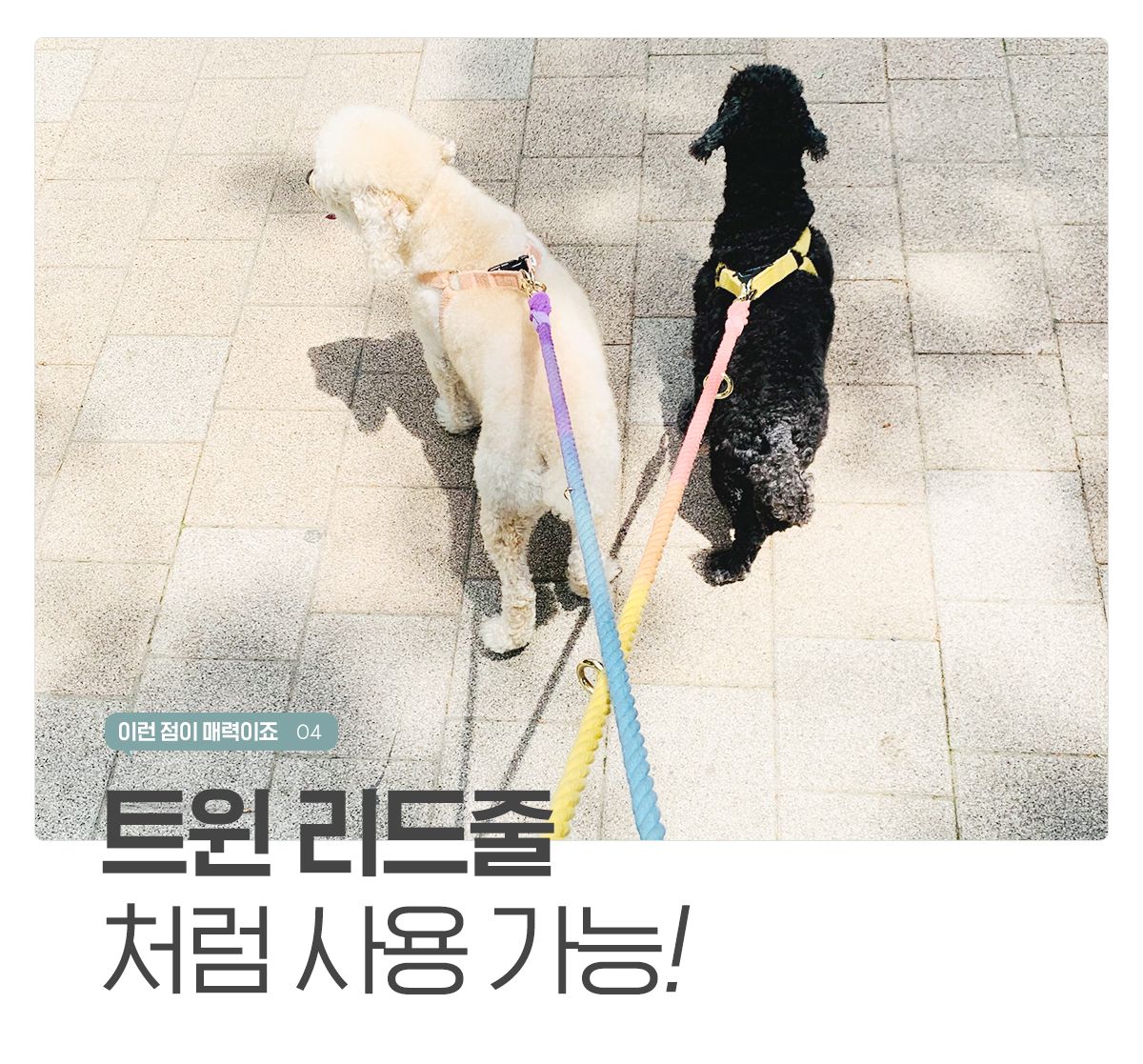[무료배송] [추가증정] 개님의상점 핸즈프리 레인보우 6in1 순면 로프 리드줄 + [랜덤발송] 친환경 생분해 풉백 무료증정 13번째