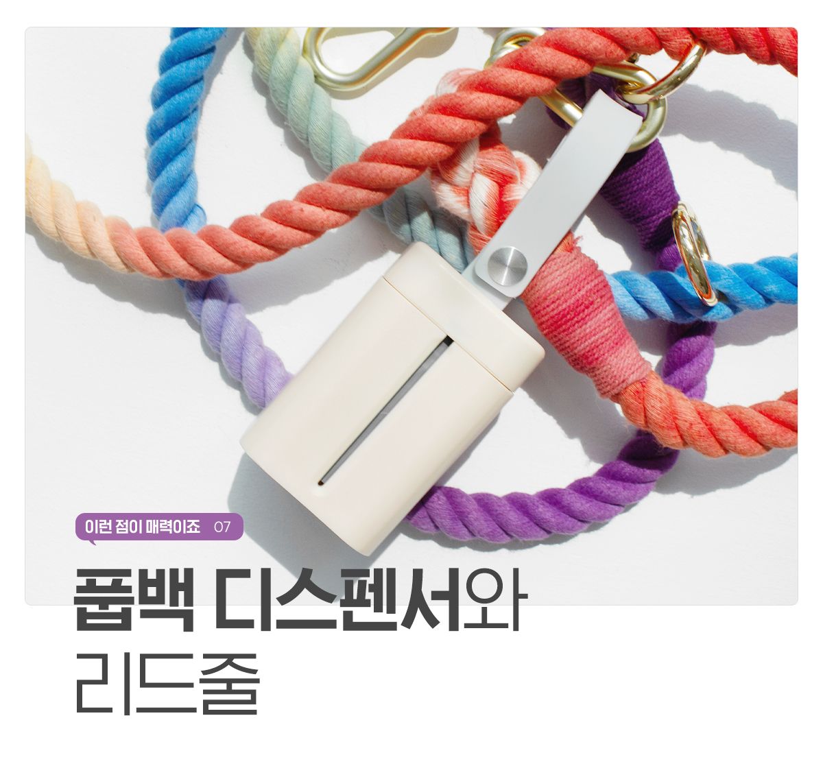 [무료배송] [추가증정] 개님의상점 핸즈프리 레인보우 6in1 순면 로프 리드줄 + [랜덤발송] 친환경 생분해 풉백 무료증정 20번째