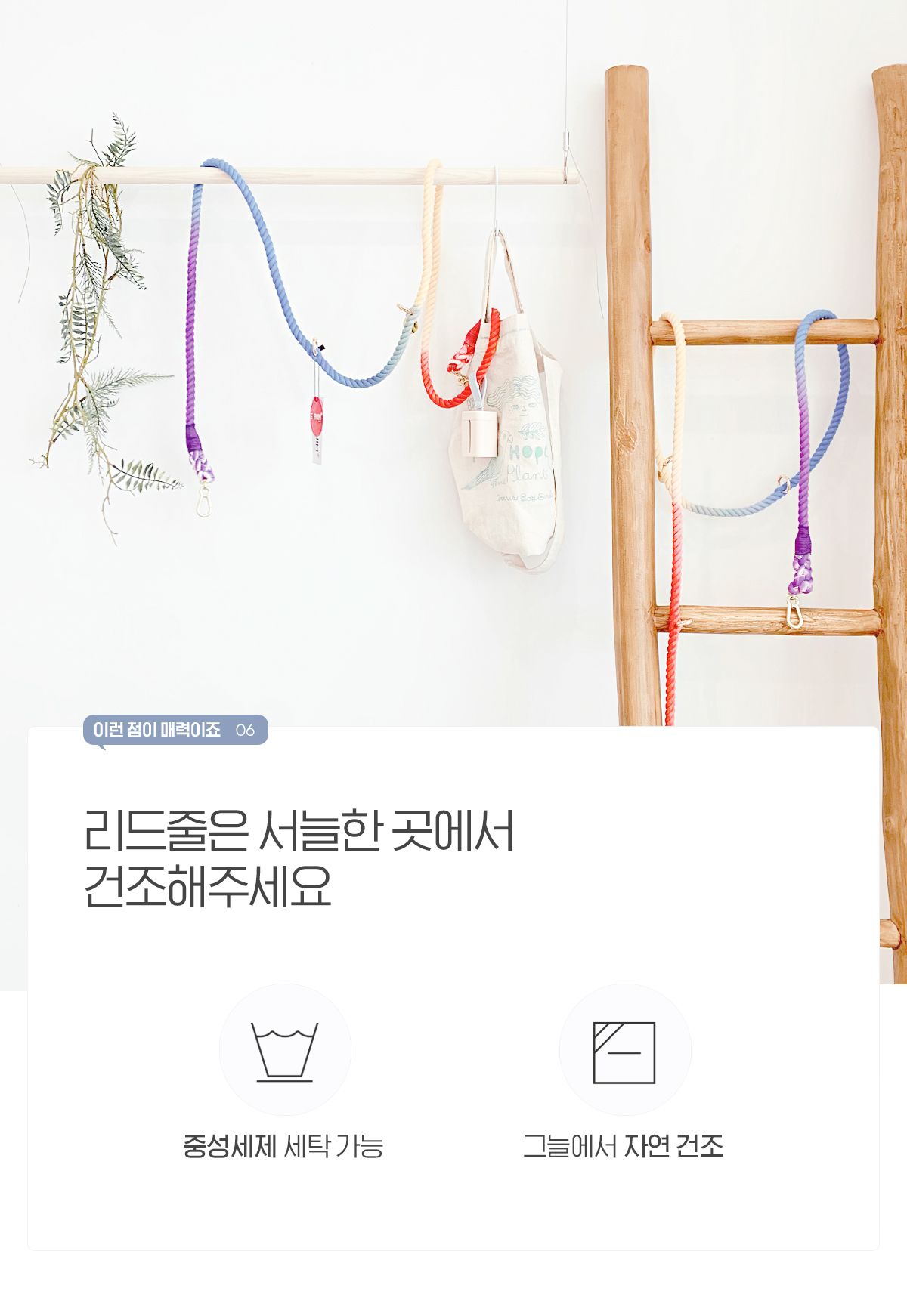 [무료배송] [추가증정] 개님의상점 핸즈프리 레인보우 6in1 순면 로프 리드줄 + [랜덤발송] 친환경 생분해 풉백 무료증정 18번째