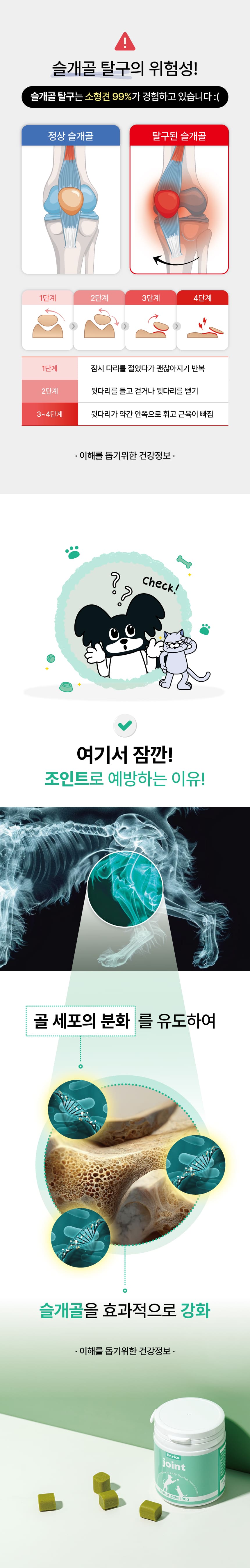 [무료배송] 닥터리코 조인트 슬개골 관절 영양제 90g 2번째