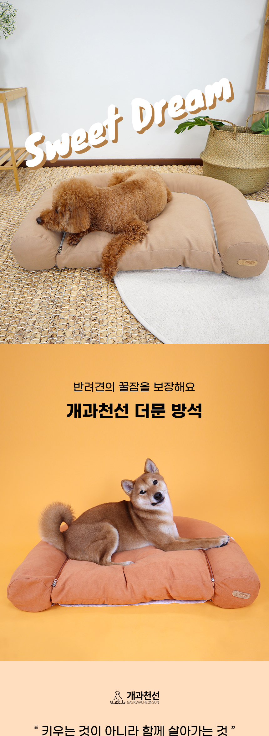 [NEW신상][무료배송] 개과천선 더문 반려동물 방석 (오렌지,라이트브라운,블랙그레이) 1번째