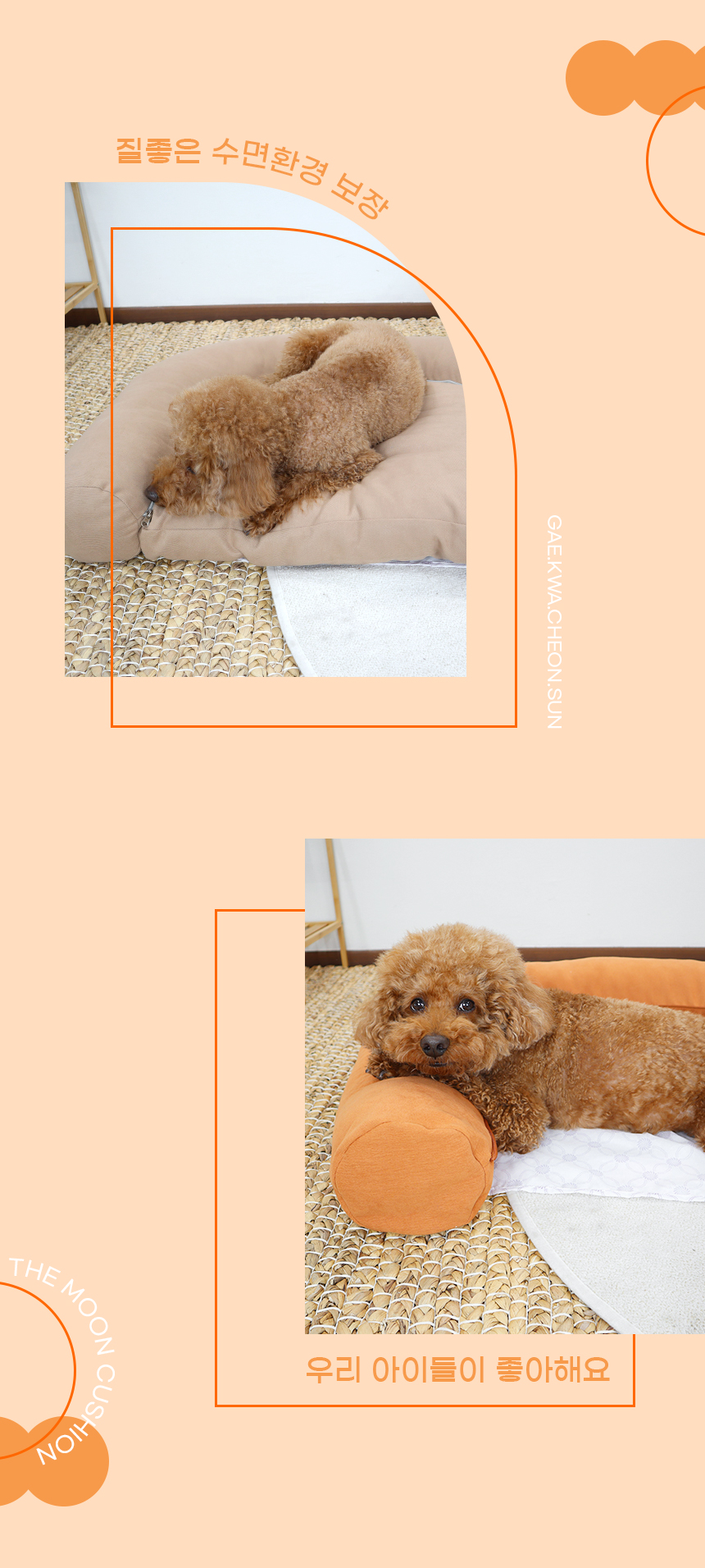 [NEW신상][무료배송] 개과천선 더문 반려동물 방석 (오렌지,라이트브라운,블랙그레이) 4번째