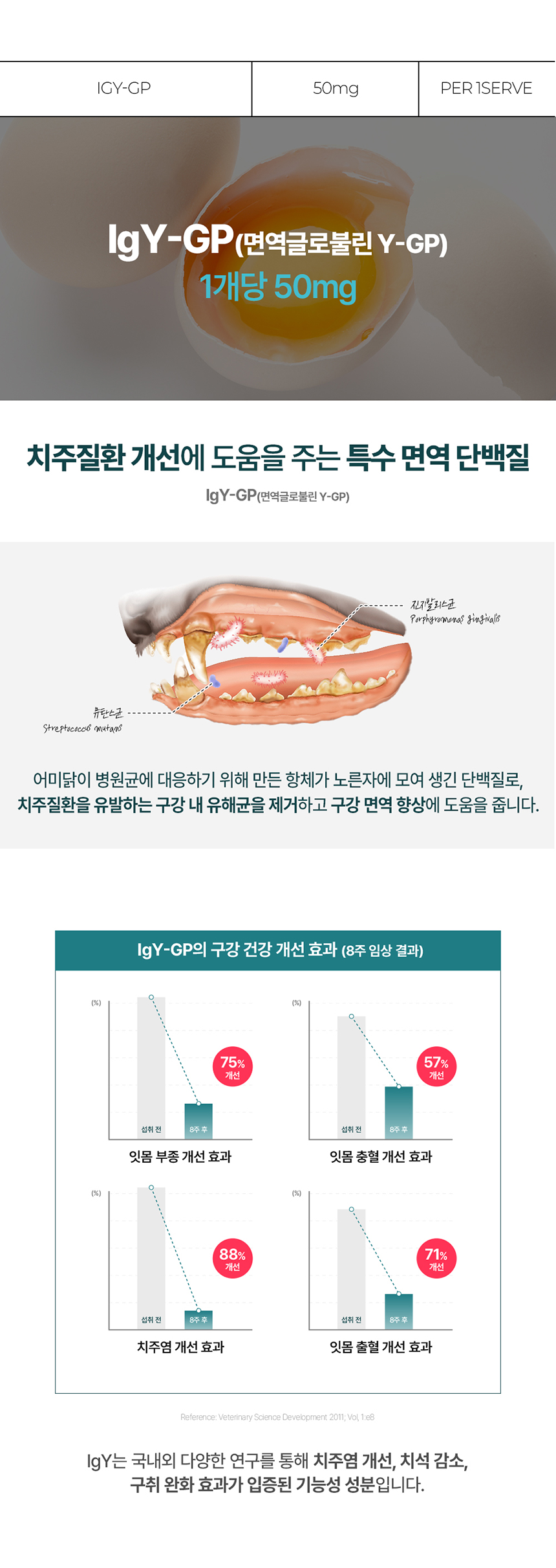 [NEW신상][무료배송] 닥터뉴트리코어 덴티뮨300 10개입 11번째