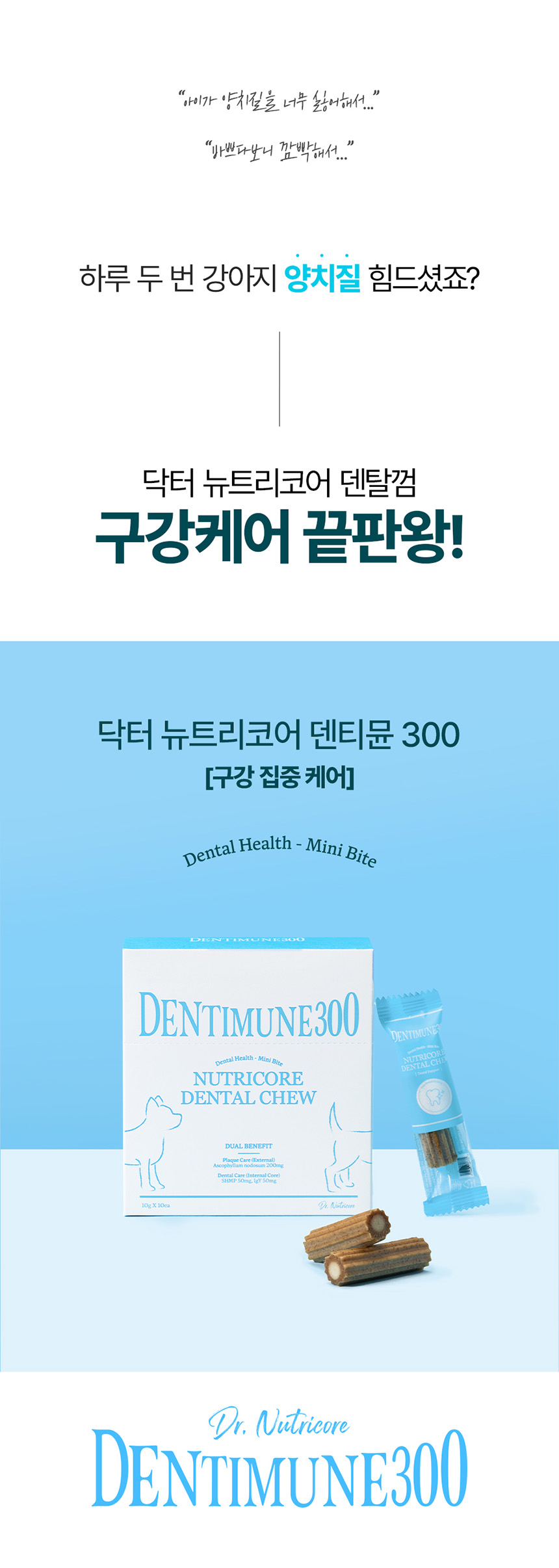 [NEW신상][무료배송] 닥터뉴트리코어 덴티뮨300 10개입 1번째