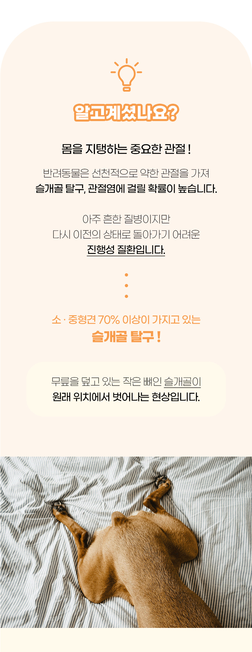 [NEW신상][무료배송] 개과천선 독 플로랄 펫스텝 계단 (밀크 아이보리/밀크 베이지/밀크 그레이) 3번째