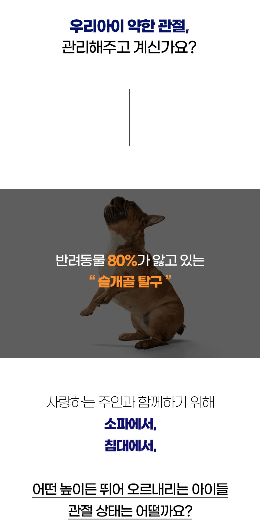 [NEW신상][무료배송] 개과천선 독 플로랄 펫스텝 계단 (밀크 아이보리/밀크 베이지/밀크 그레이) 2번째