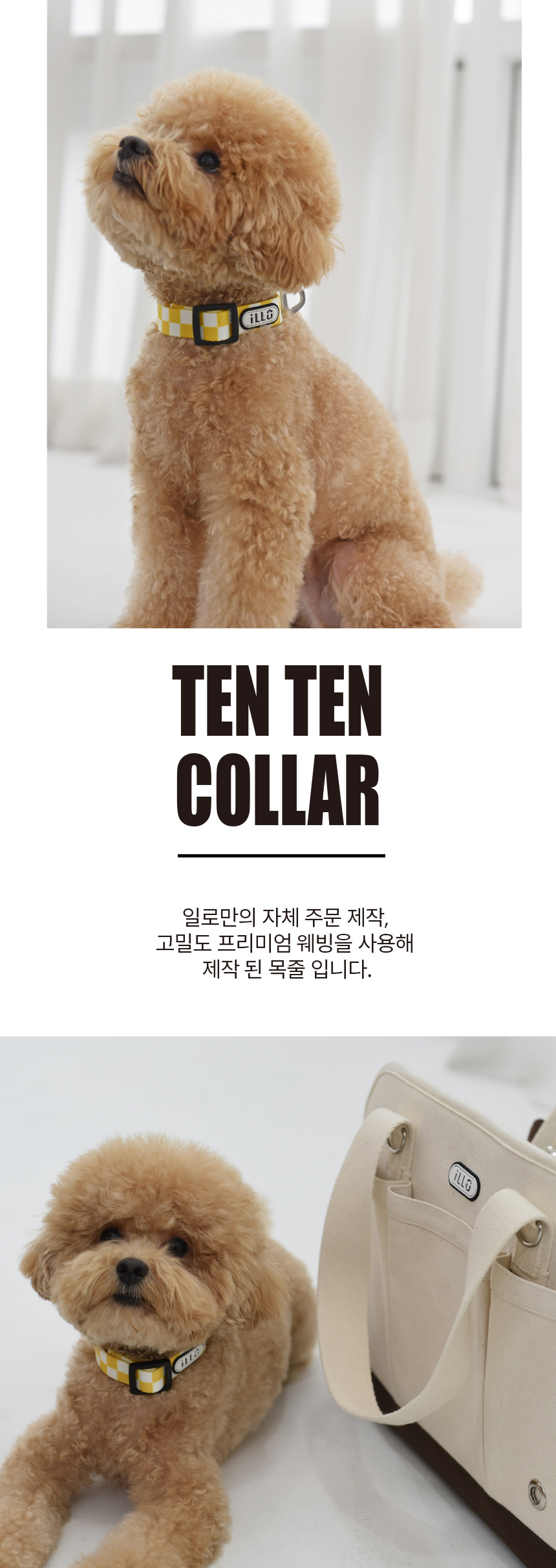 [무료배송] iLLO 텐텐 목줄 옐로우 S-L 1번째
