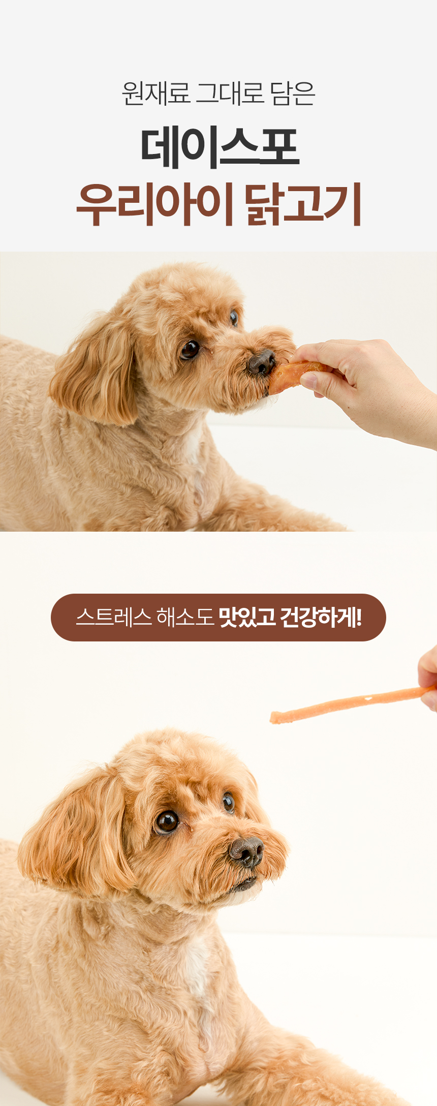 [NEW신상][무료배송] 데이스포 우리아이 치킨 고구마 사사미 1kg 15번째