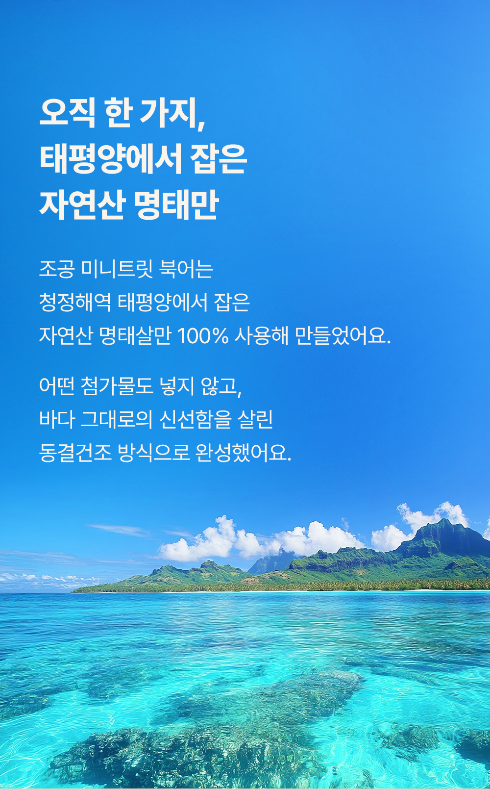 조공 미니트릿 태평양 북어 50g 10번째